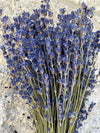 Dried Lavender // Fragrant Lavender Bunch // Lavender Flowers - CaliforniaFlowerGrowers.com